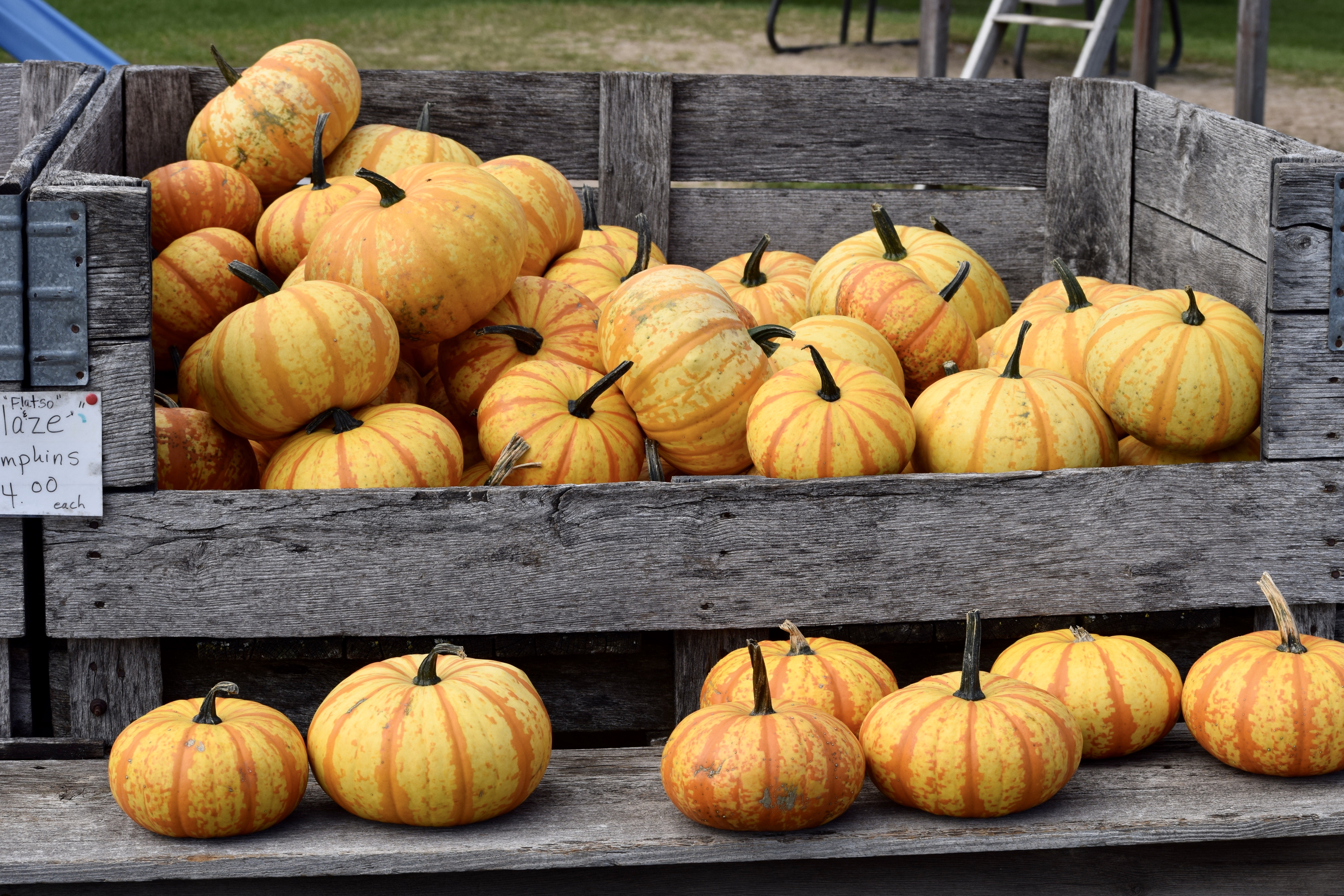 Autumn in Wisconsin