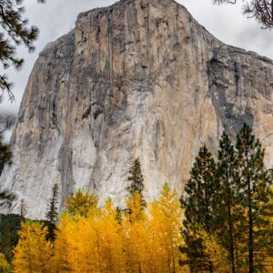 "El Capitan Autumn"