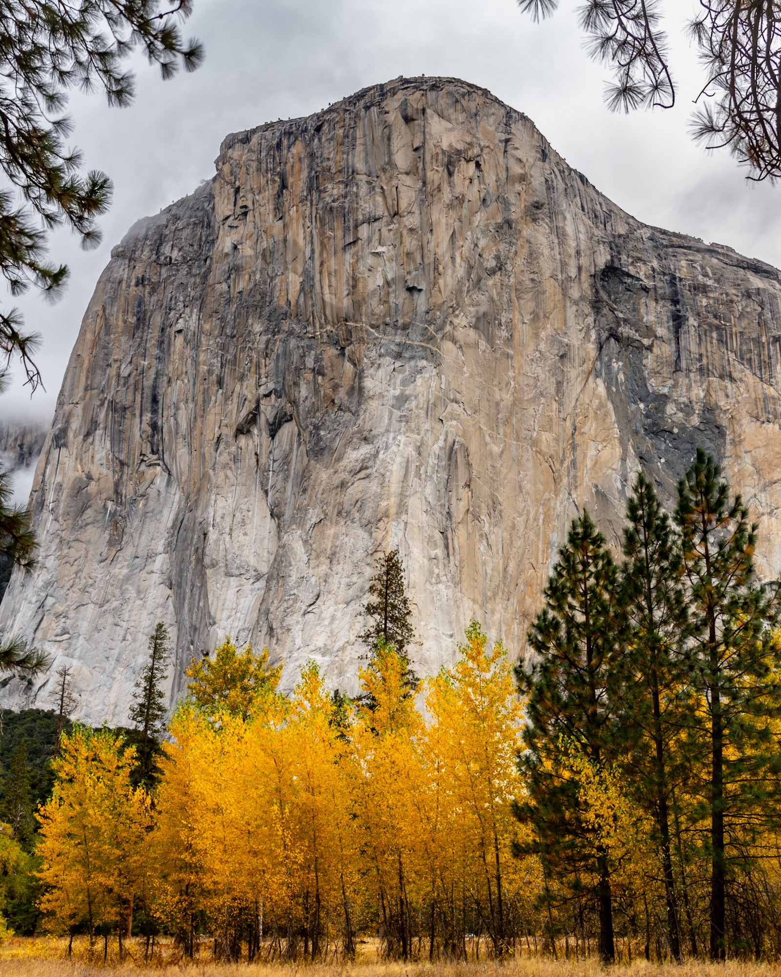 "El Capitan Autumn"
