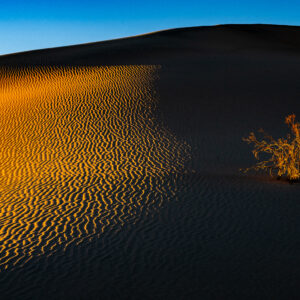 "Mesquite Dunes at Sunset"