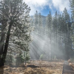 "Path To Enlightenment"