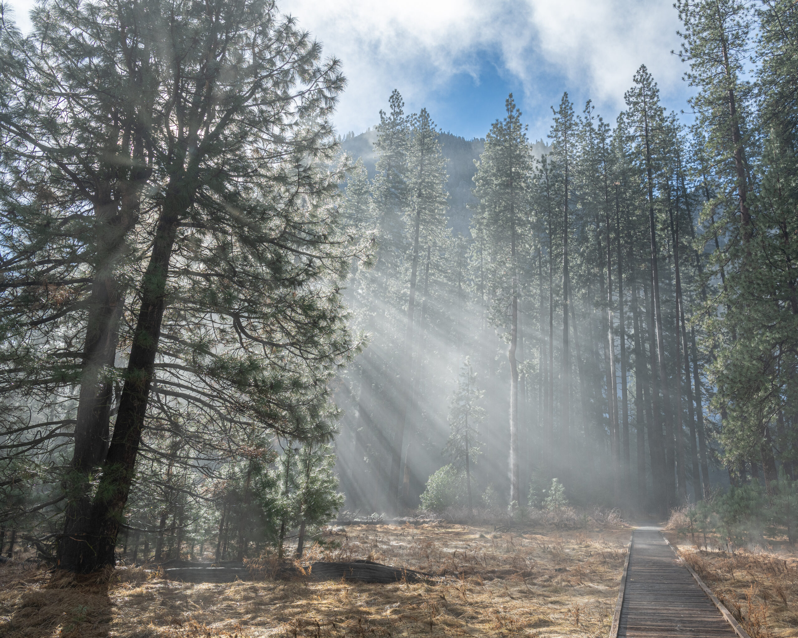 "Path To Enlightenment"