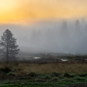 "Morning Mist, Jerseydale" 8"x10" Wooden Frame 5"x7" Photograph